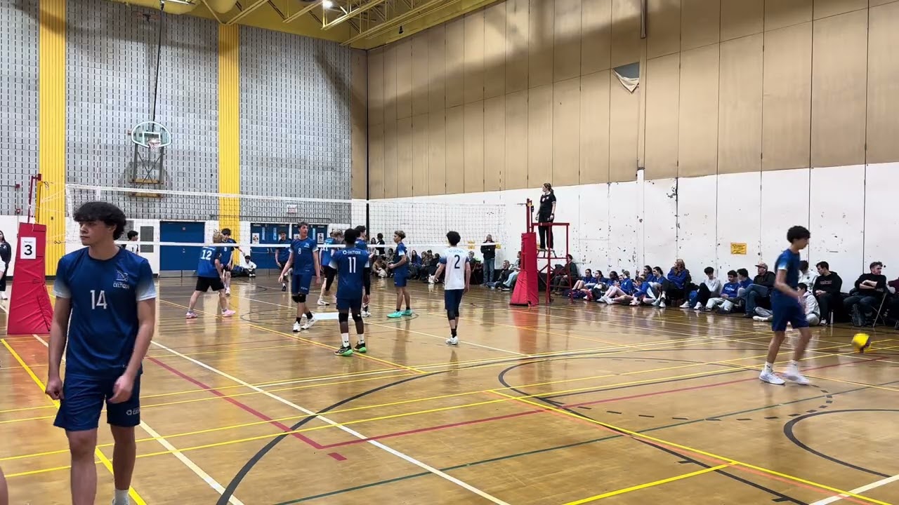 Set 1 Ace