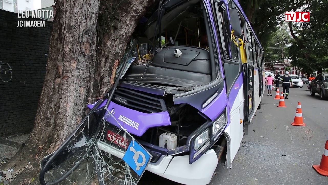 Ônibus bate em árvore e deixa vários feridos na Zona Norte do Recife