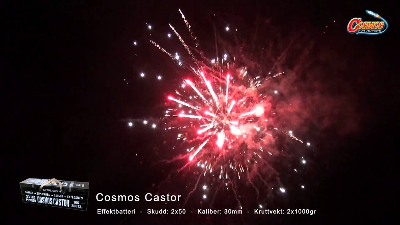 Cosmos Castor