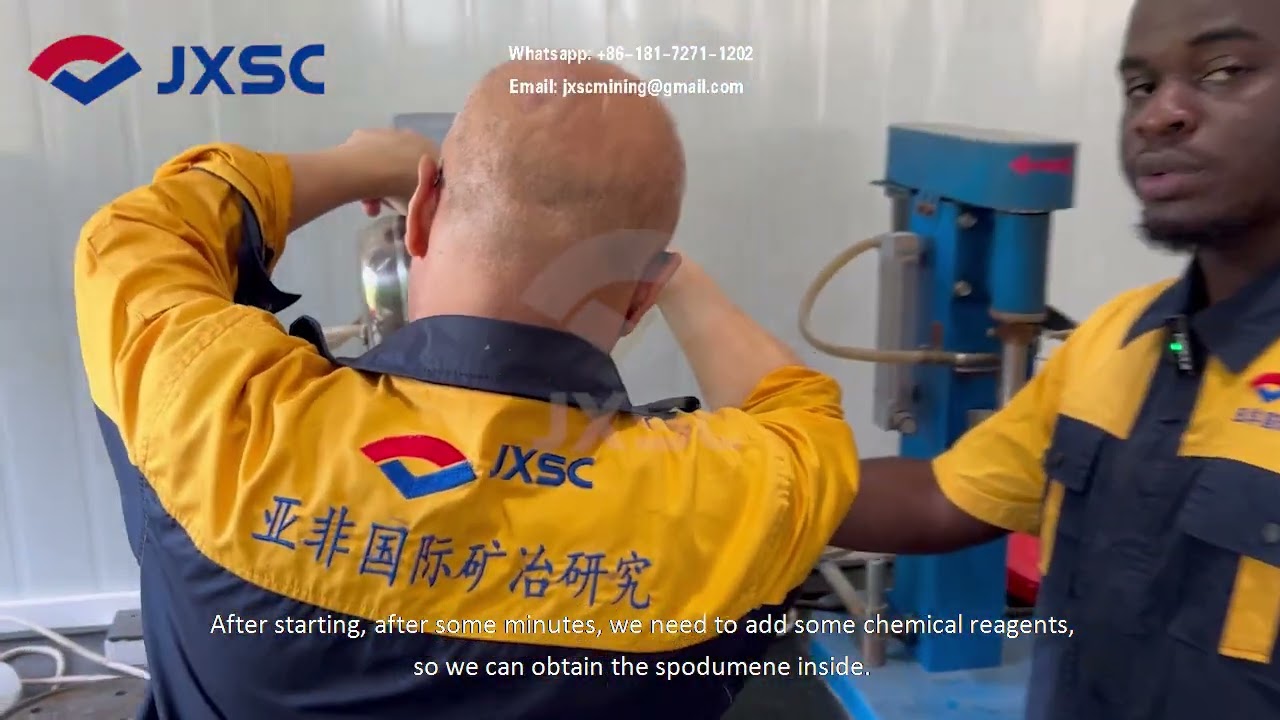 Spodumene Flotation Process Operation Site