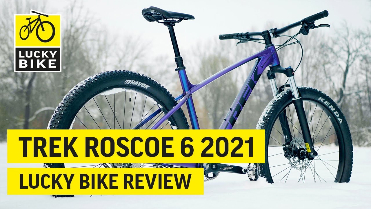 Trek Roscoe 6 2021 | Ideales Mountainbike für Trail-Einsteiger und erfahrenere Offroad-Junkies