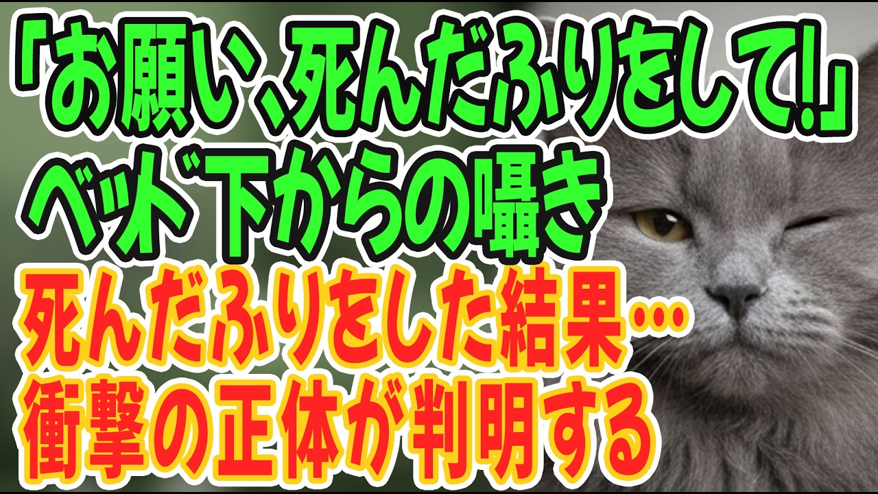 【スカッとする話】「お願い、死んだふりをして！」ベッド下で息を潜める清掃員の私。病室で義母に「早く〇ね」と毒を吐く悪辣な嫁。→まさかの結末と、青いリボンが明かす衝撃の真実とは…？