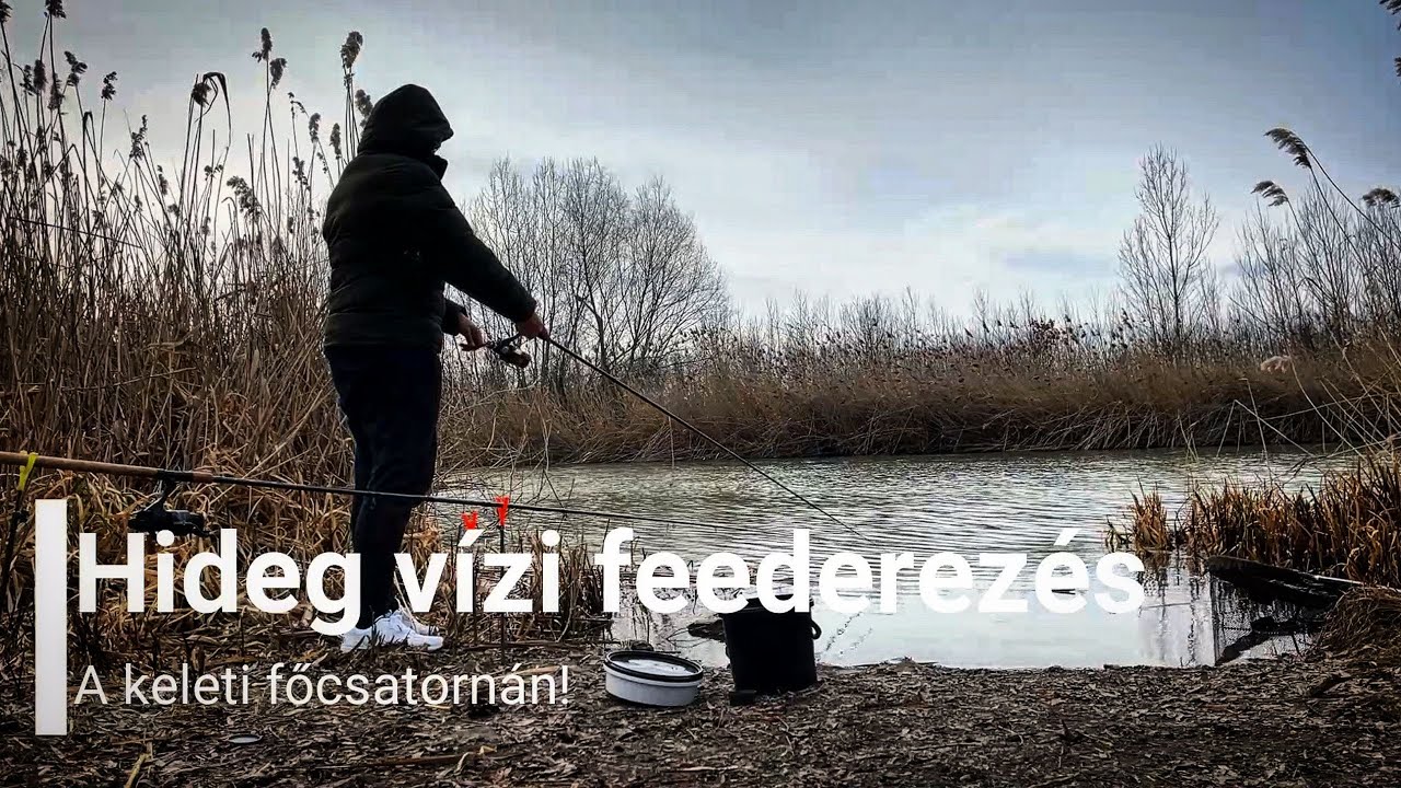 Hideg vízi feeder horgászat! És a TITKOS adalék! 🐟 #method #river #fishing #feeder