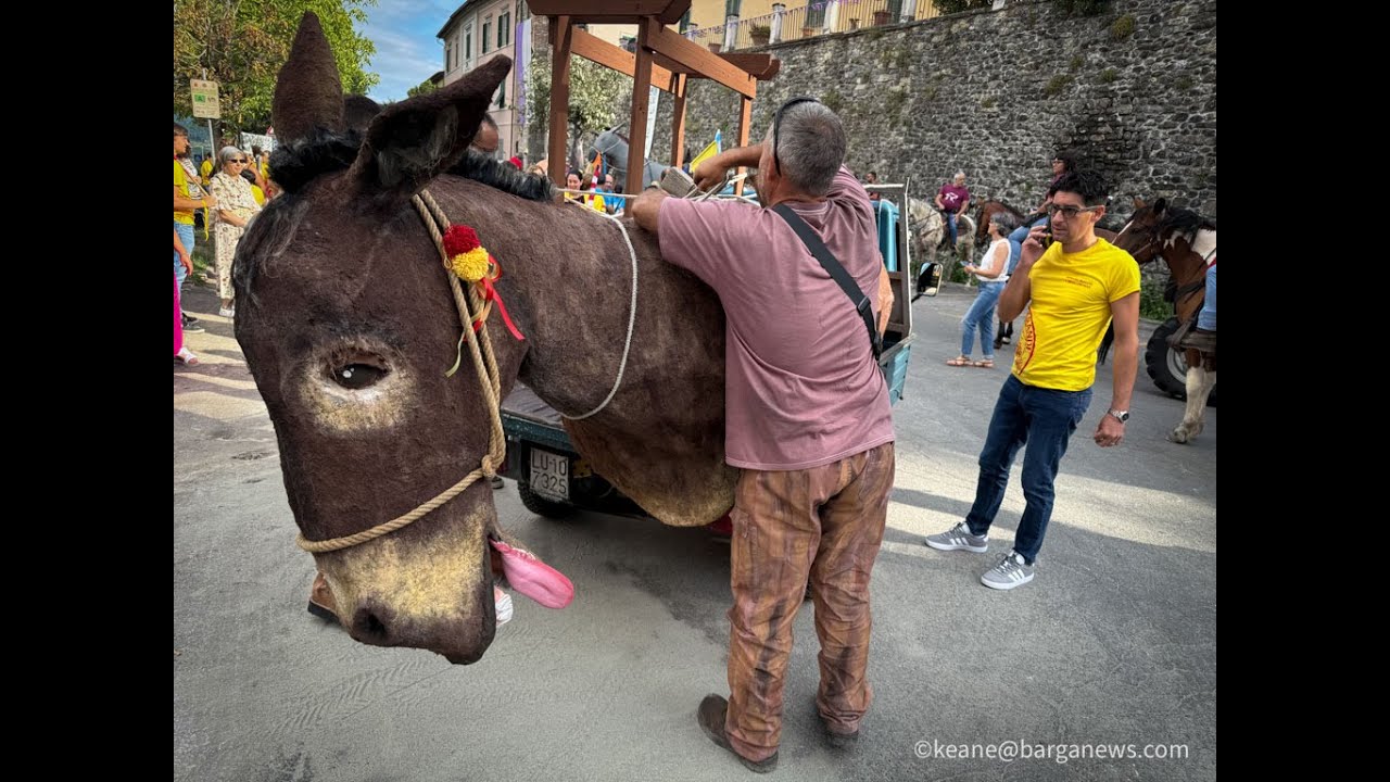 Return of a Legend: The Muletto Rides Again in BARGA