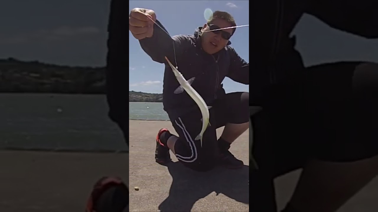 Float fishing for garfish / Piper