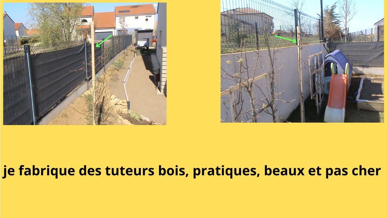 tuteur bois pour arbres chétifs