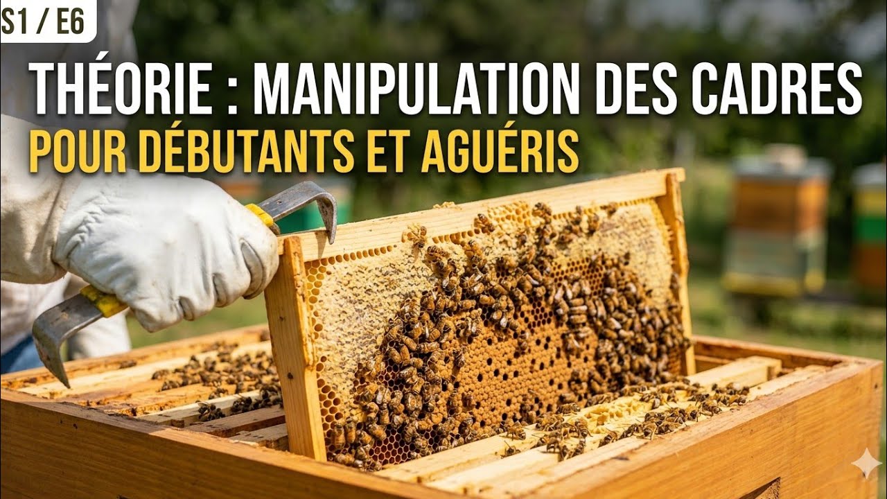 S1/E9 Bases pratiques