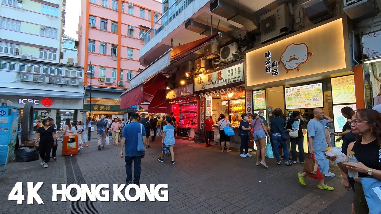 大埔: 人流超多的大埔墟 , 非常熱鬧 New Territory's Busy Area| 大埔舊墟 | 大埔墟街市| 廣福道| 懷義街| 富善街街市| 林村河|新界