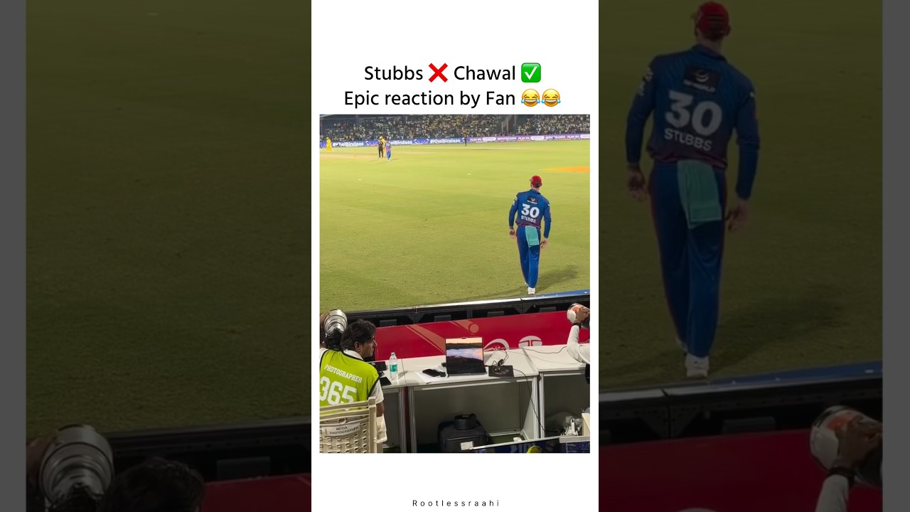 Epic hilarious conversation of Fan and Stubbs #short #viral #cricketbuzz #cskvsdc #pbks #rcb #mi
