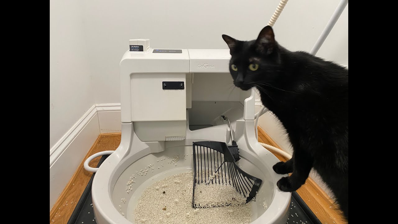 Overview of How the Catgenie works with its scoop, wash, rinse & drying cycles, & its hook-up needs.
