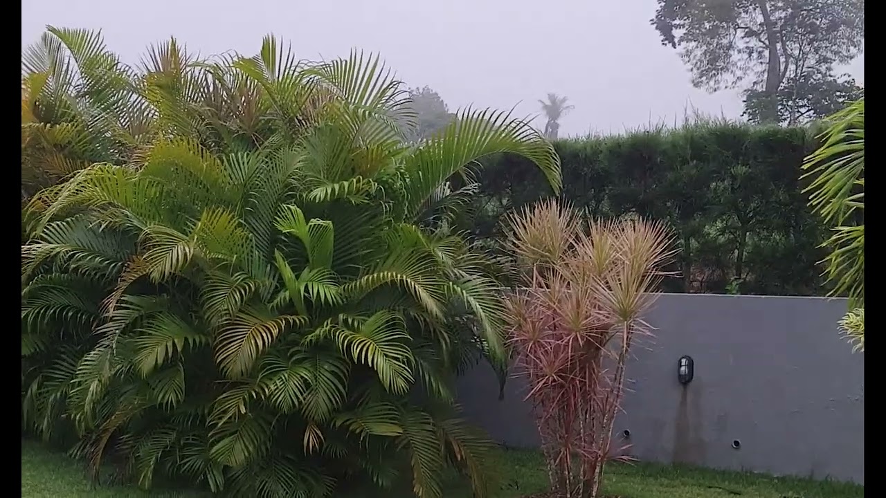 Versão para smart TV do aras casa nobre paripiranga Bahia