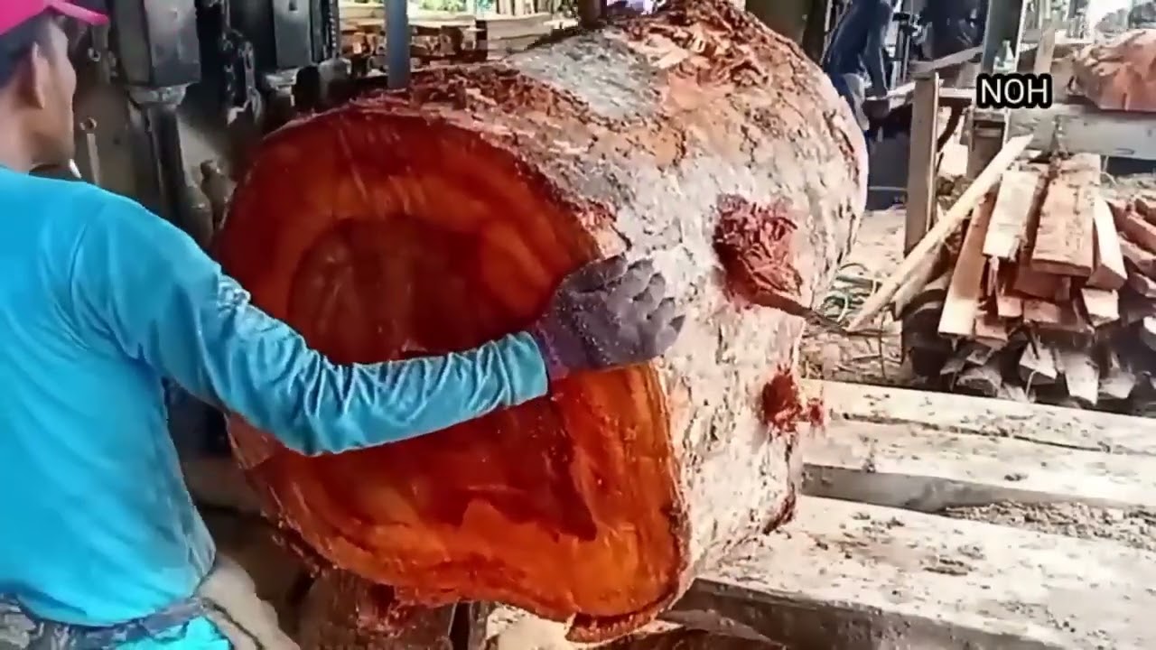 Kayu durian 28 inchi 
