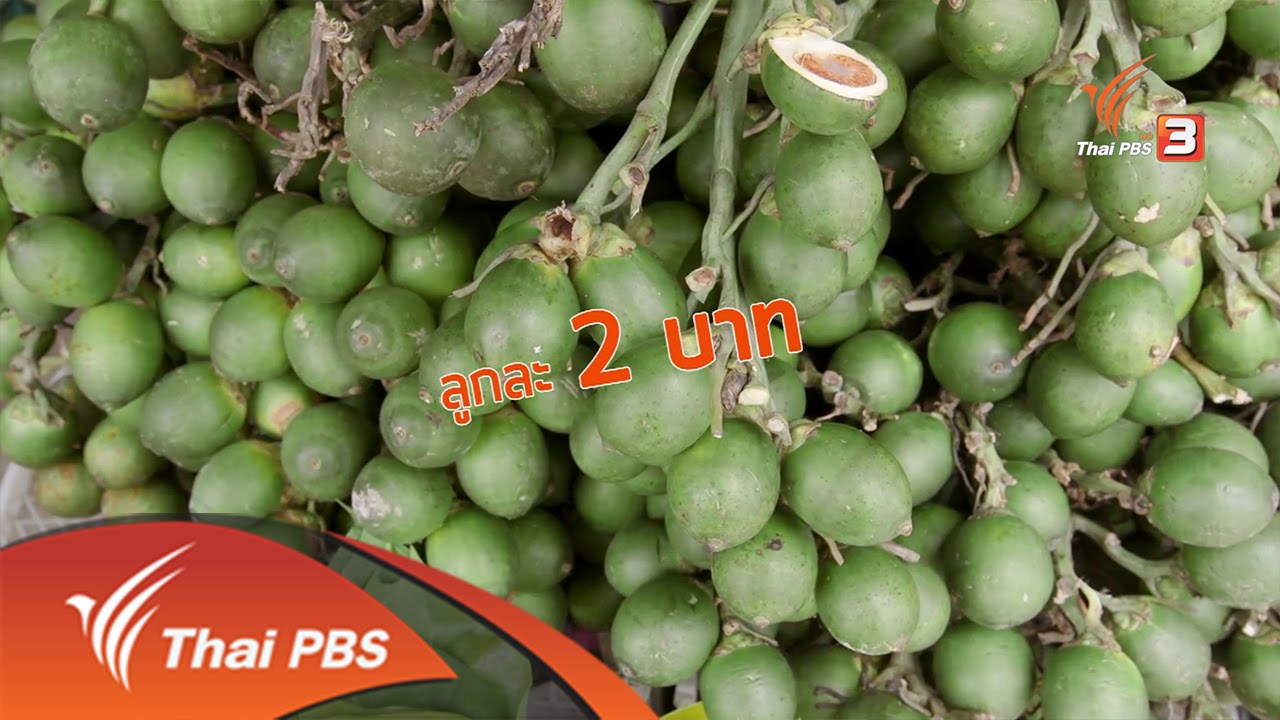 สายสืบเจาะตลาด : สำรวจราคาน้อยหน่า ตลาดผลไม้กลางดง จ.นครราชสีมา (23 ก.ย. 59)