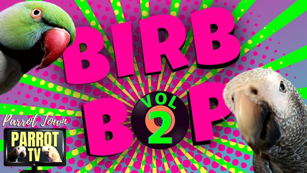 Dance Music for Birds | Parrot Music TV for Your Bird Room *Not Recommended for Nervous Birds*❤️