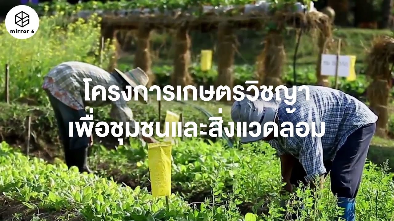 โครงการเกษตรวิชญาเพื่อชุมชนและสิ่งแวดล้อม | กระจกหกด้านบานใหม่ ตอน เกษตรวิชญา