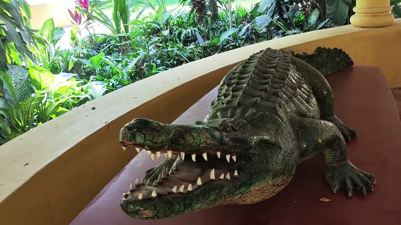 Visitando el Reptiliario