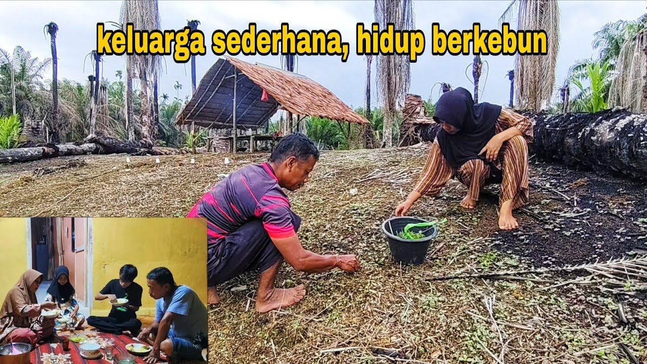 KELUARGA PETANI, BERKEBUN UNTUK KELANGSUNGAN HIDUP