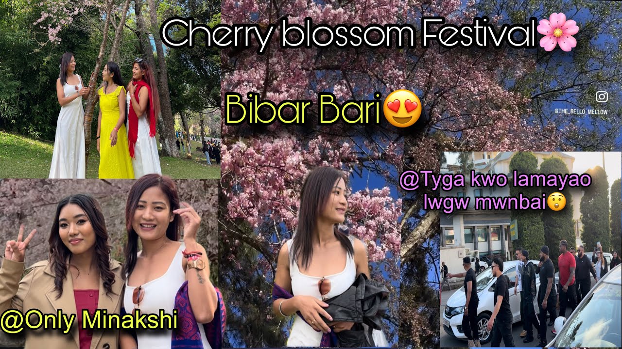 Бибар Барияо berainw Fwidwng 🌸🌸 #shillong #wardslake #cherryblossomfestival !Ringki Brahma !