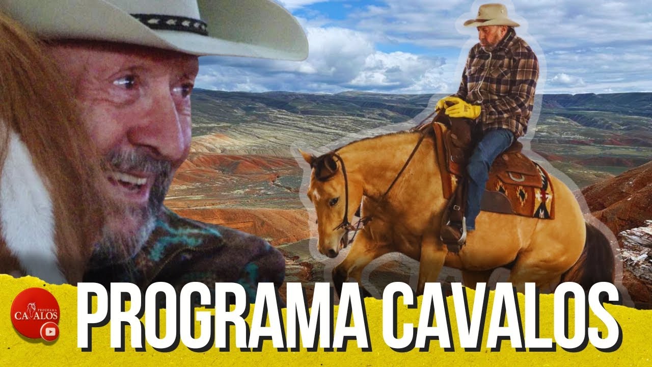 A cura pelo cavalo. O amor pelos animais e a história de superação do fundador da Organnact