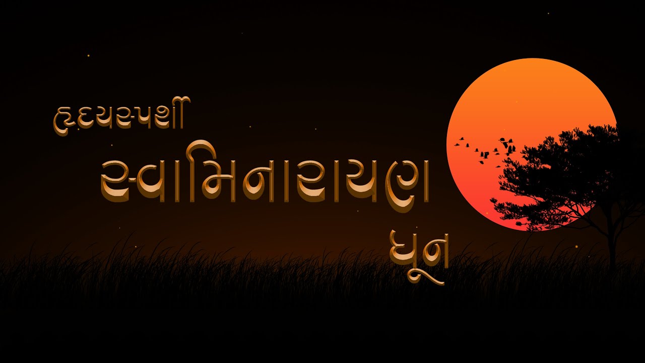 હૃદયસ્પર્શી સ્વામિનારાયણ ધૂન | Heart-felt Swaminarayan dhun | Kirtanamrut