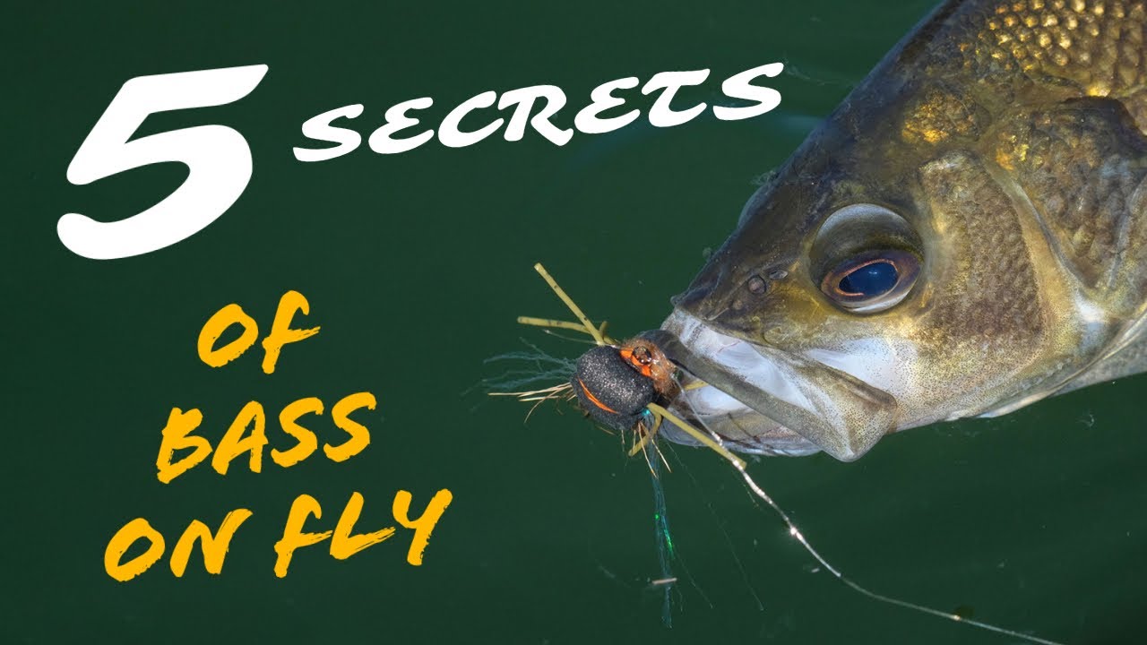 Aussie Bass Fly Fishing Secrets - Top 5 Tips