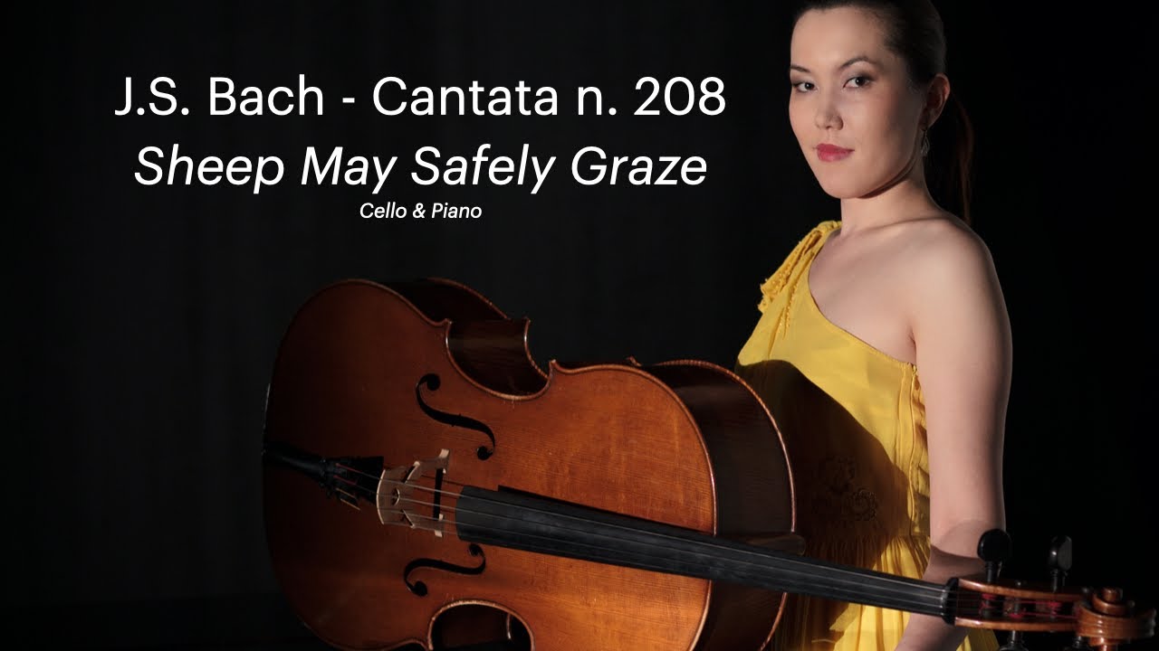 J.S.Bach Cantata BWV 208 