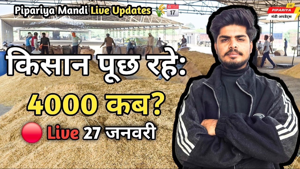 आज P1 4000 पार करेगा क्या ? 😱 | Pipariya Mandi LIVE 🔴 27 Jan 2026