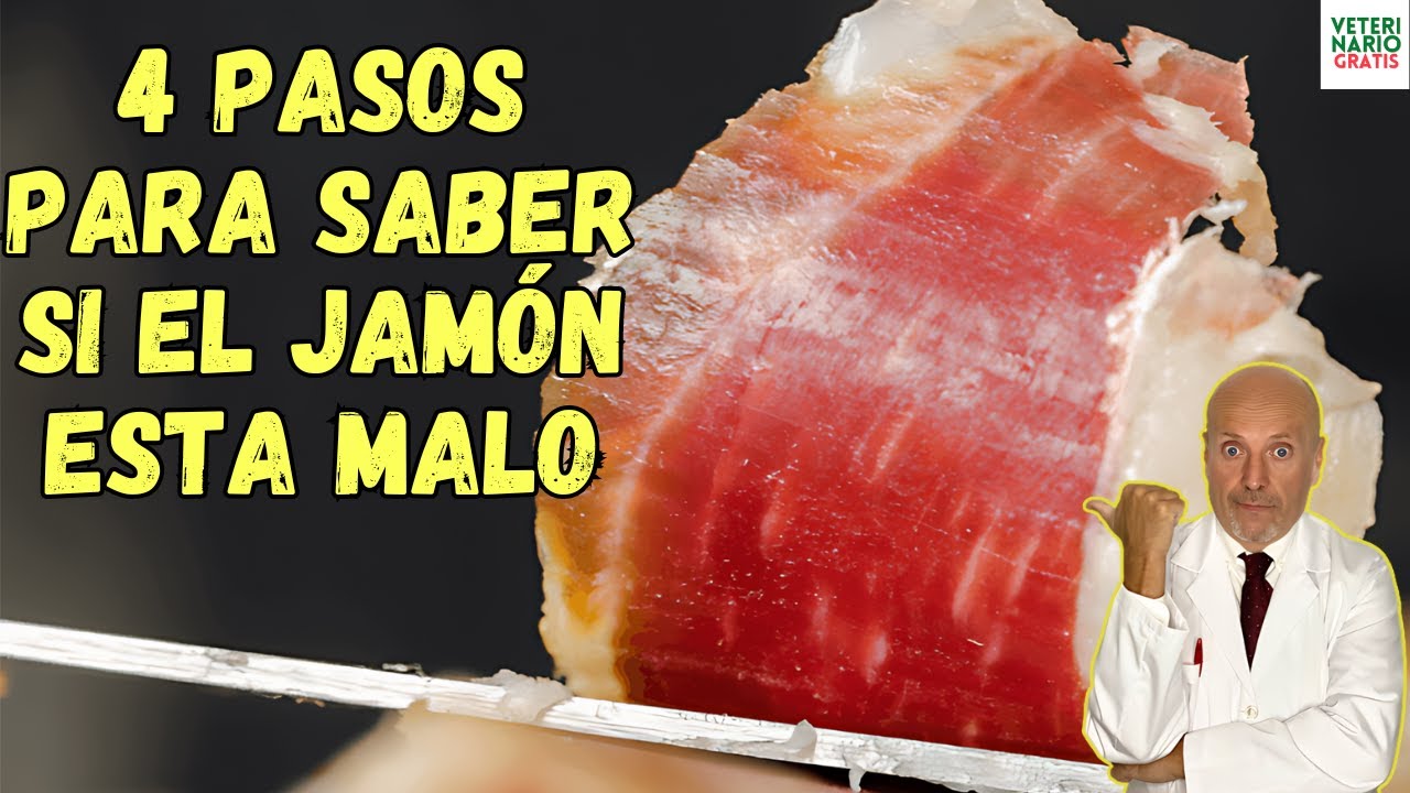 🍗 ¿COMO SABER SI EL JAMÓN ESTÁ MALO O BUENO EN 4 PASOS? 🍗