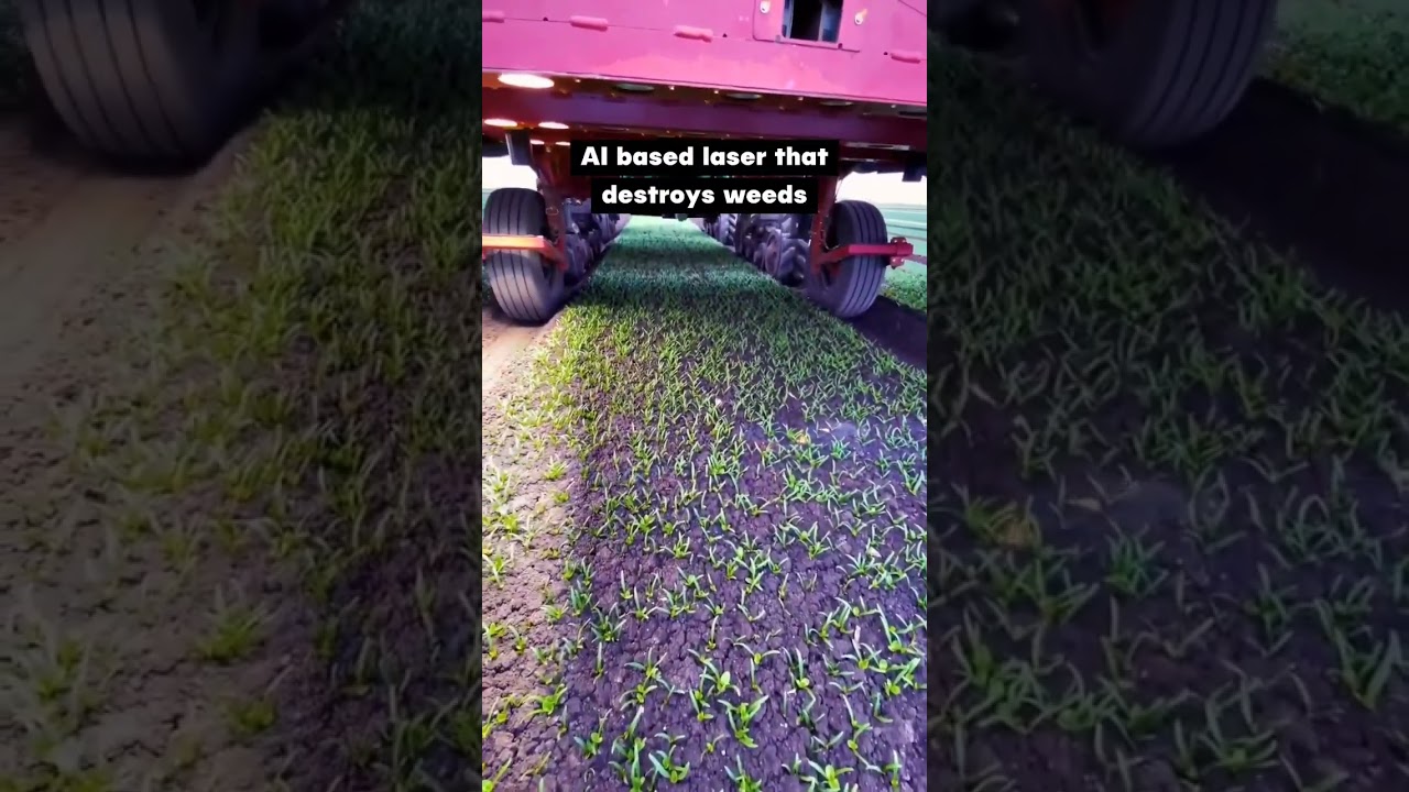 #AI based laser that destroy weeds #farming #agriculture #laserWeeder #shorts