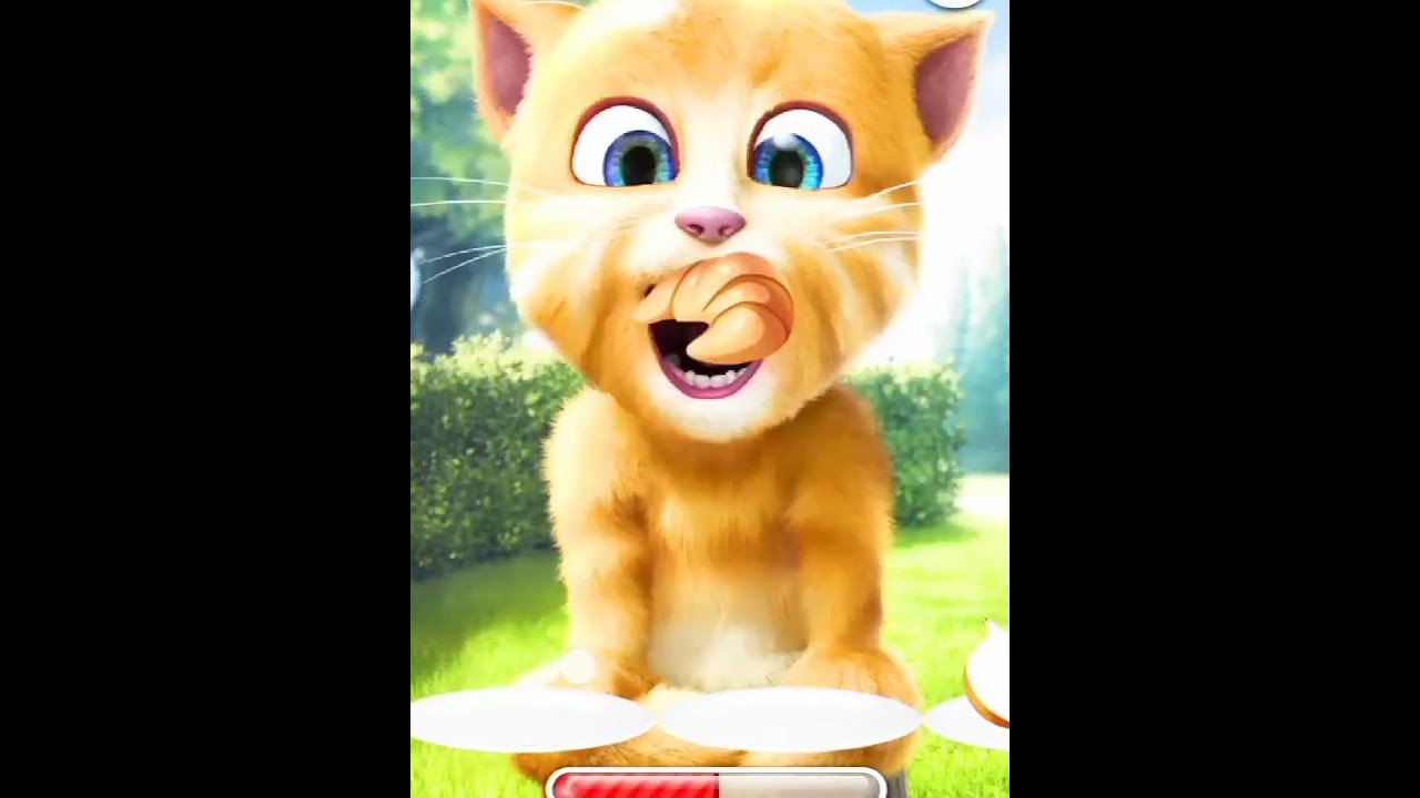 Talking Ginger 2/ talking ginger/ abc song/ yellow cat/ Gaming/ talking tom