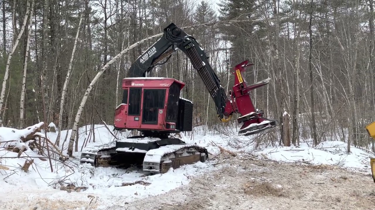 Valmet 425 Feller Buncher