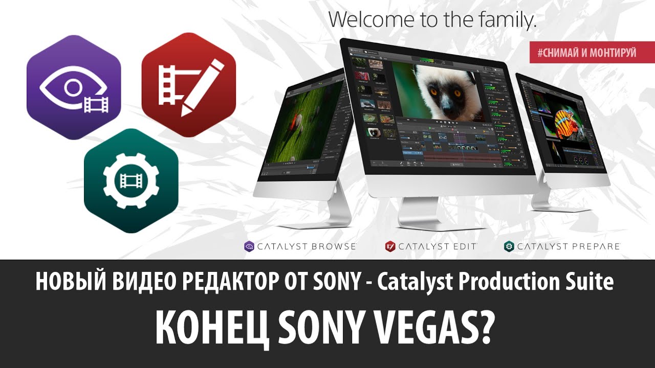Sony Catalyst Edit, Prepare - Конец Sony Vegas? Обзор Catalyst Production Suite
