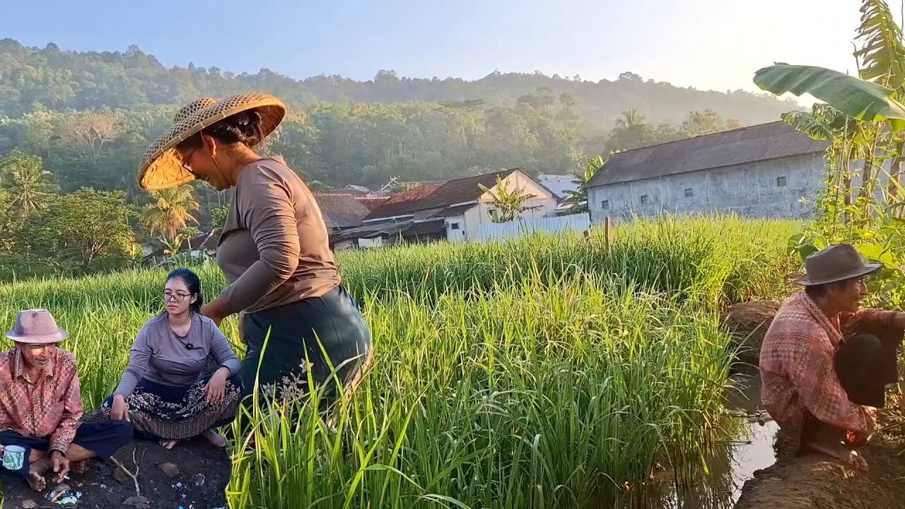 SUASANA HIDUP DI DESA,, SUASANA YANG TENANG DAN PENUH DENGAN CANDA TAWA,, JAUH DARI HINGAR BINGAR