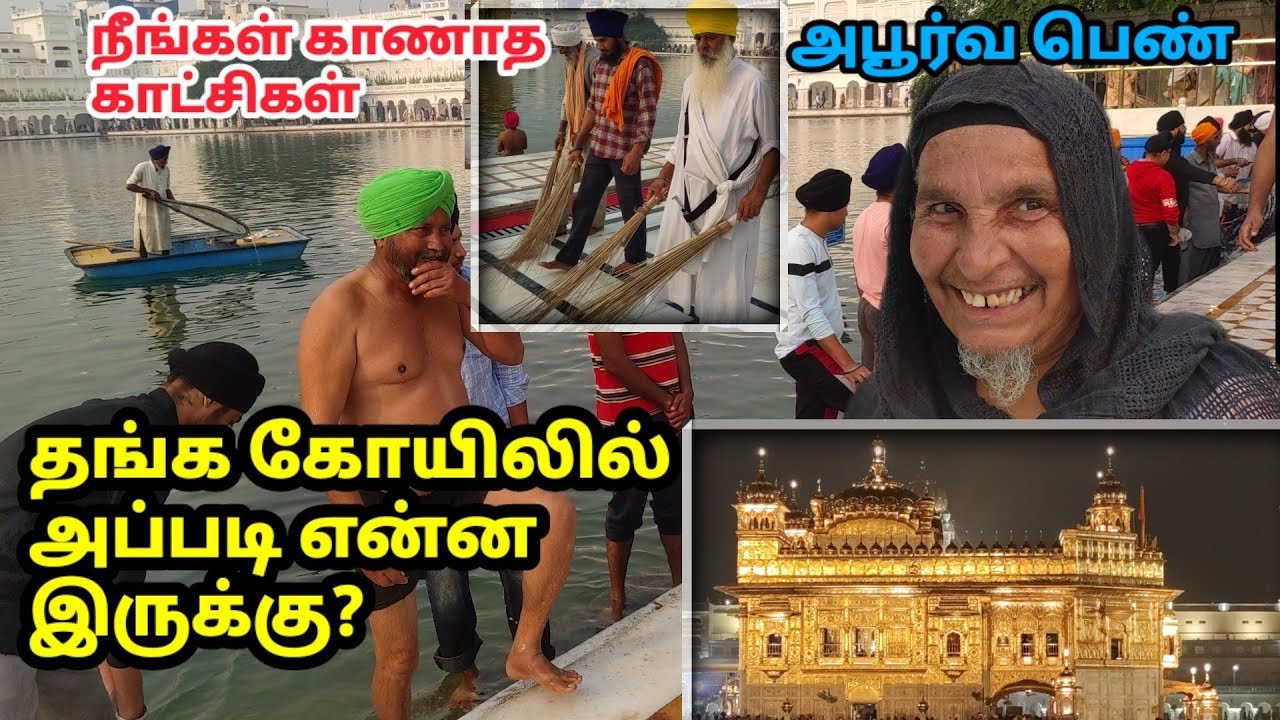 சீக்கிய மத சுவாரஸ்யங்கள்| தங்ககோயில் அதிசயங்கள் Golden Temple Vlog