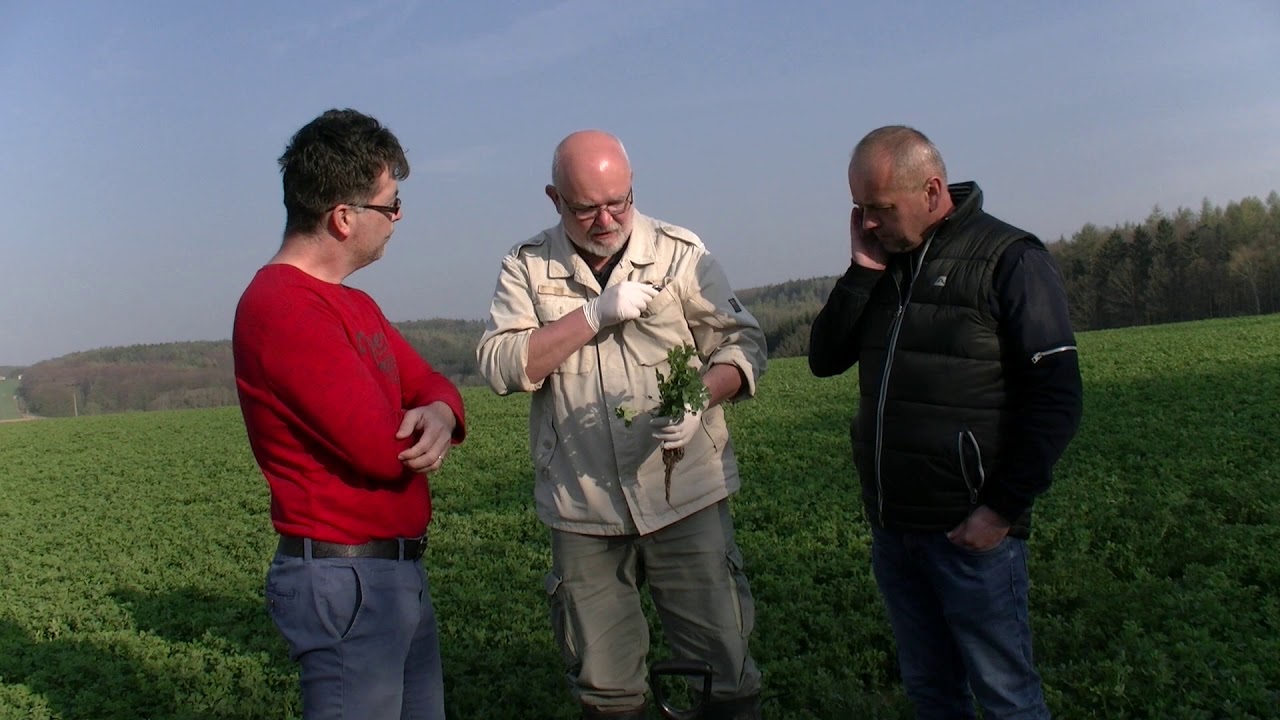Vojtěška  -Ing. Pavel Krajča Plemen. služ. Otrokovice a Ing.Radek Kašik Auxieffect s.r.o.