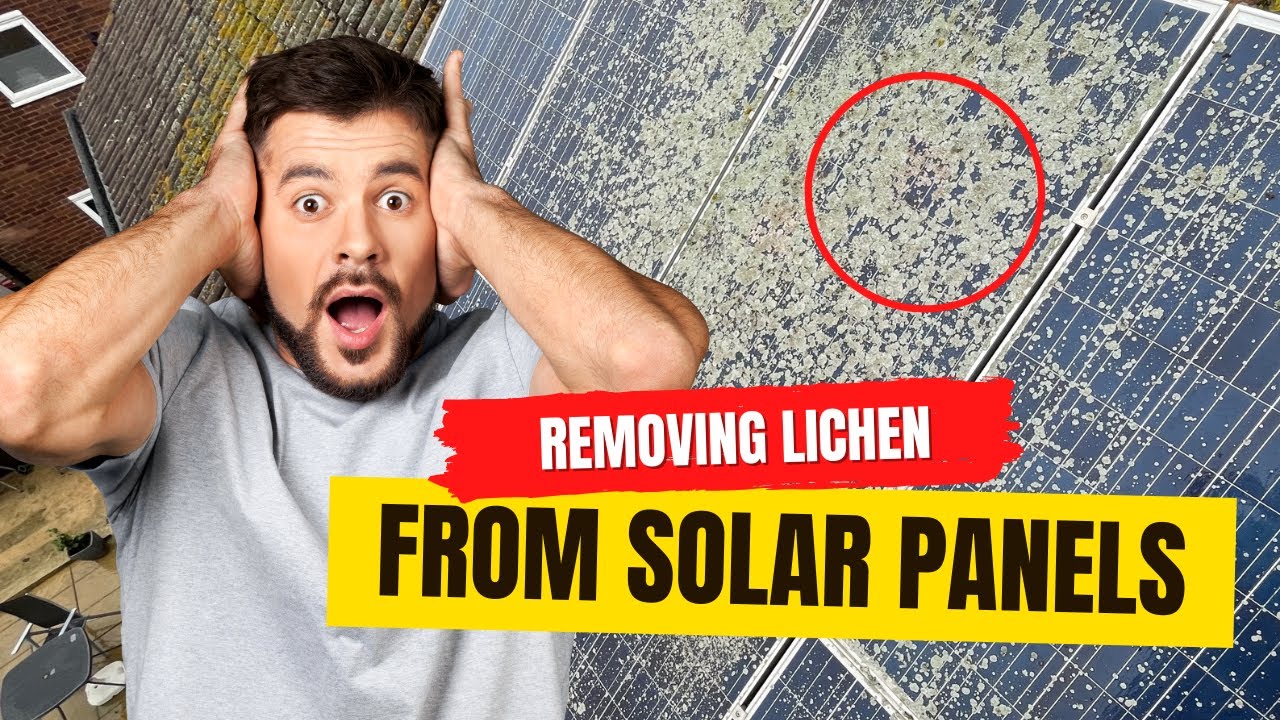 How To Remove Lichen From Solar Panels