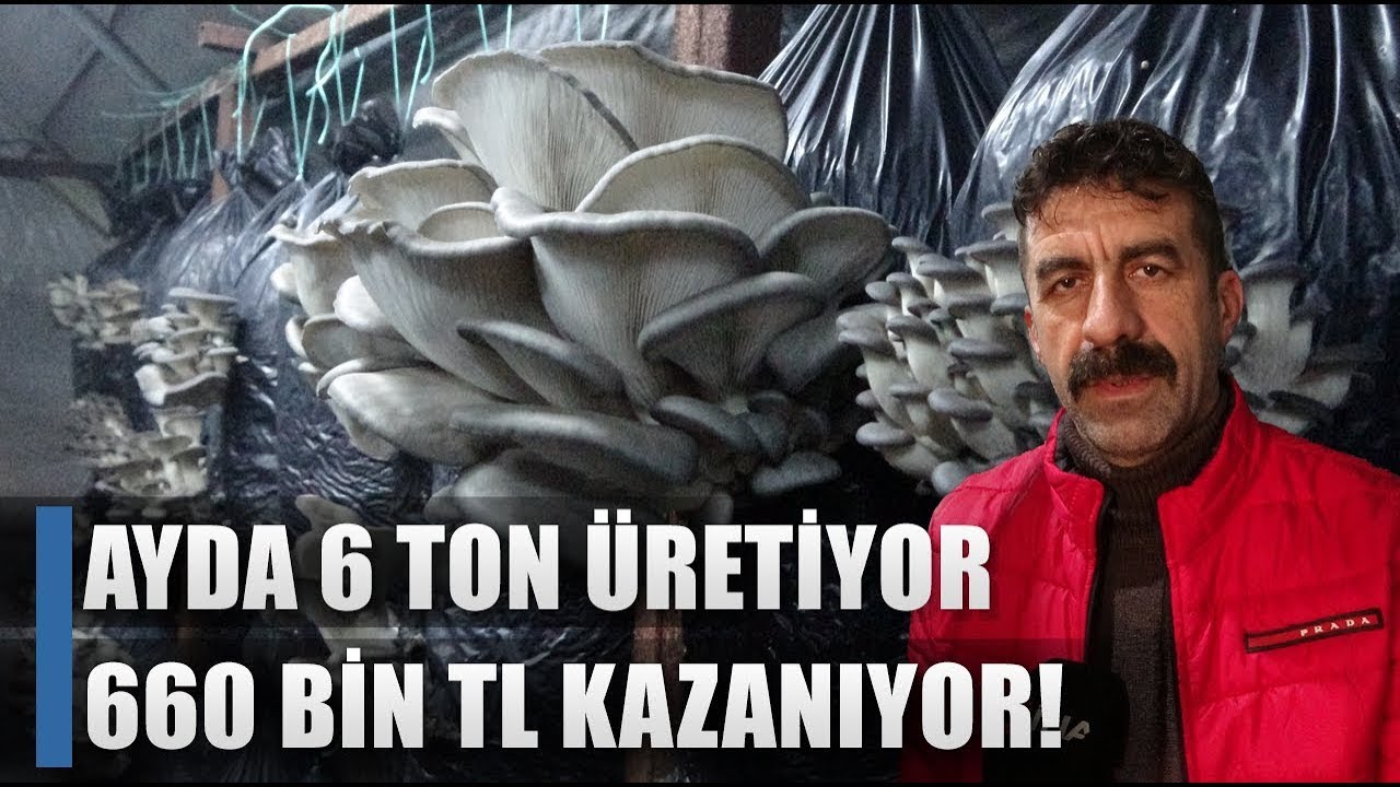 800 Metrekarede 6 Ton Üretti 660 Bin TL Kazanıyor! / AGRO TV HABER