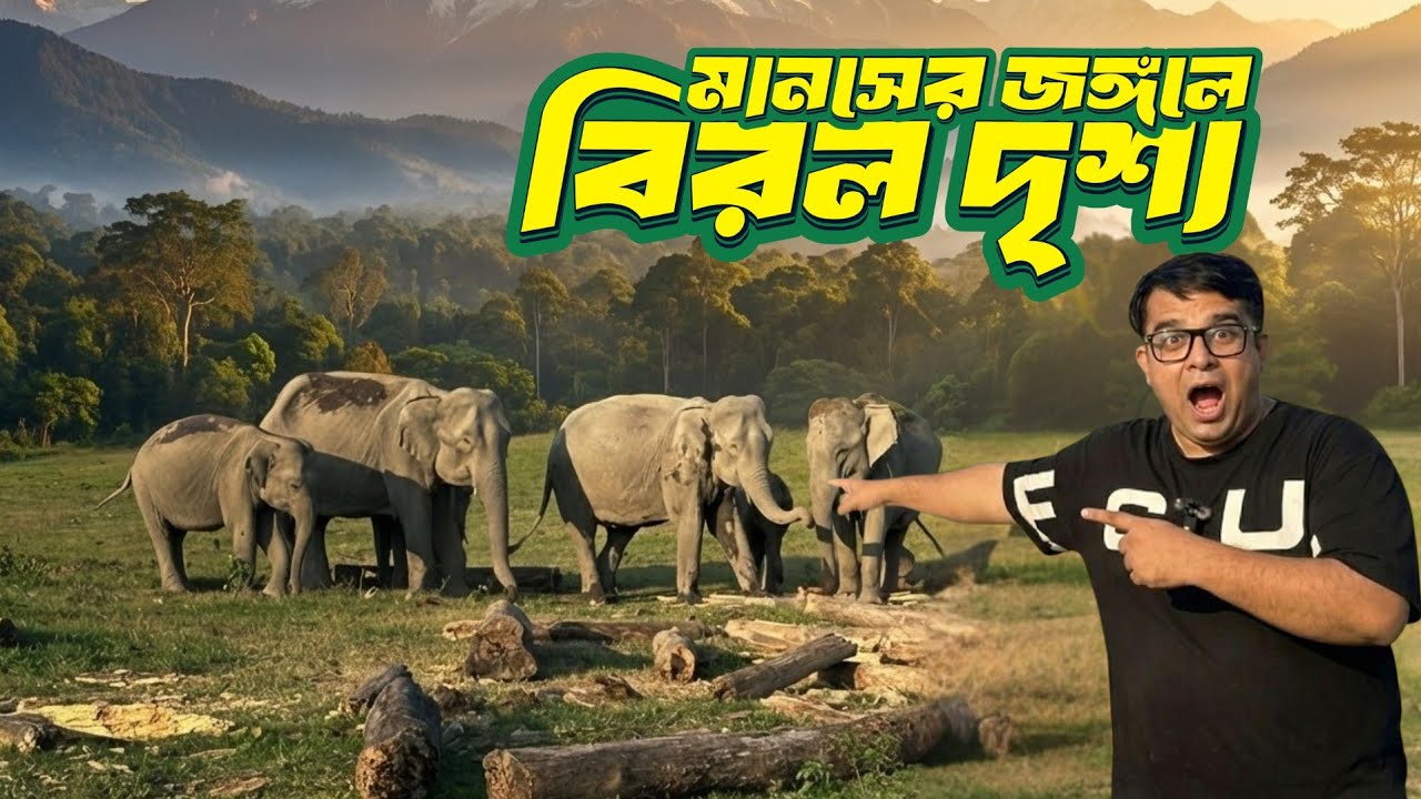 এক ফ্রেমে হাতি, গণ্ডার ও বাইসন! 😱 Manas National Park Safari (Rare Sighting)