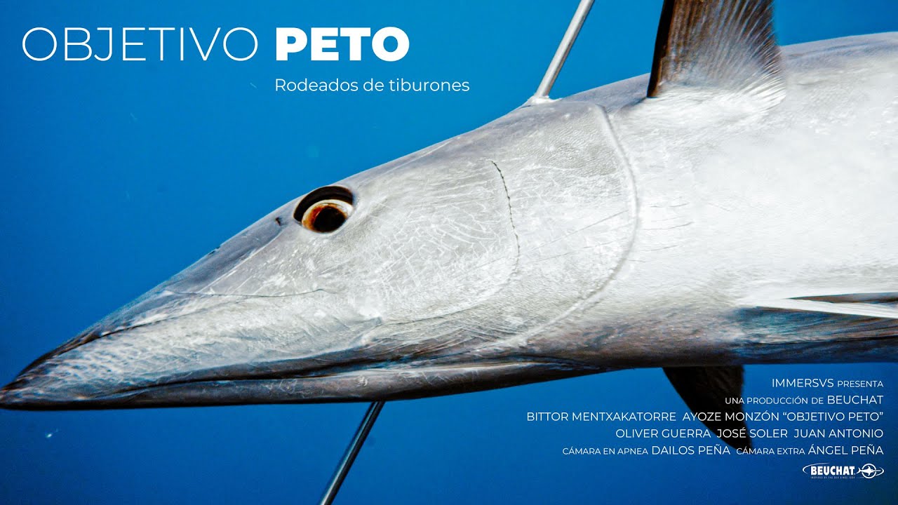 🔱PESCA SUBMARINA en Canarias. OBJETIVO PETO - BEUCHAT