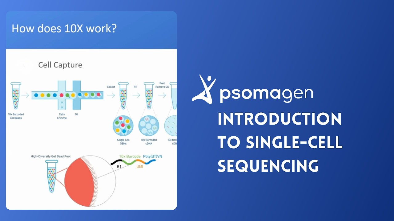 Introduction to Single-Cell Sequencing | Psomagen