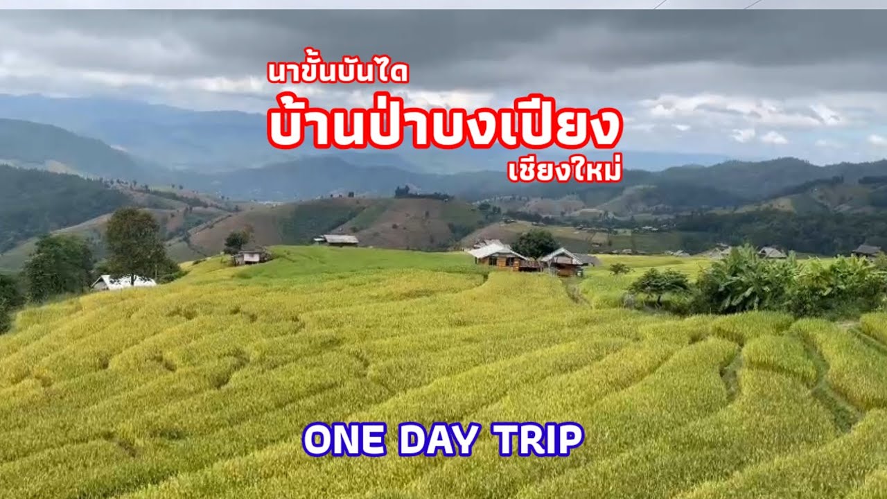 บ้านป่าบงเปียง เชียงใหม่  นาขั้นบันไดที่สวยที่สุดในไทย#One day trip #ก๋วยเตี๋ยวห้อยขาวิวหลักล้าน