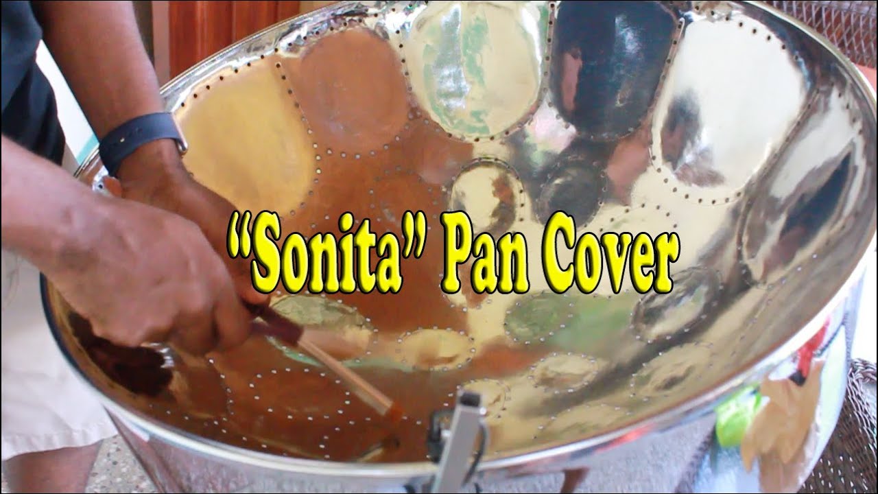 Multisymptom - Sonita (Steelpan Cover)
