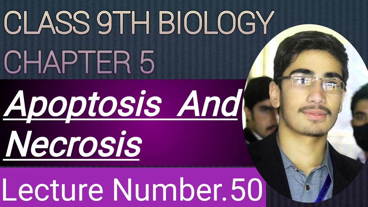 Apoptosis and Necrosis Class 9th Biology IN Pashto