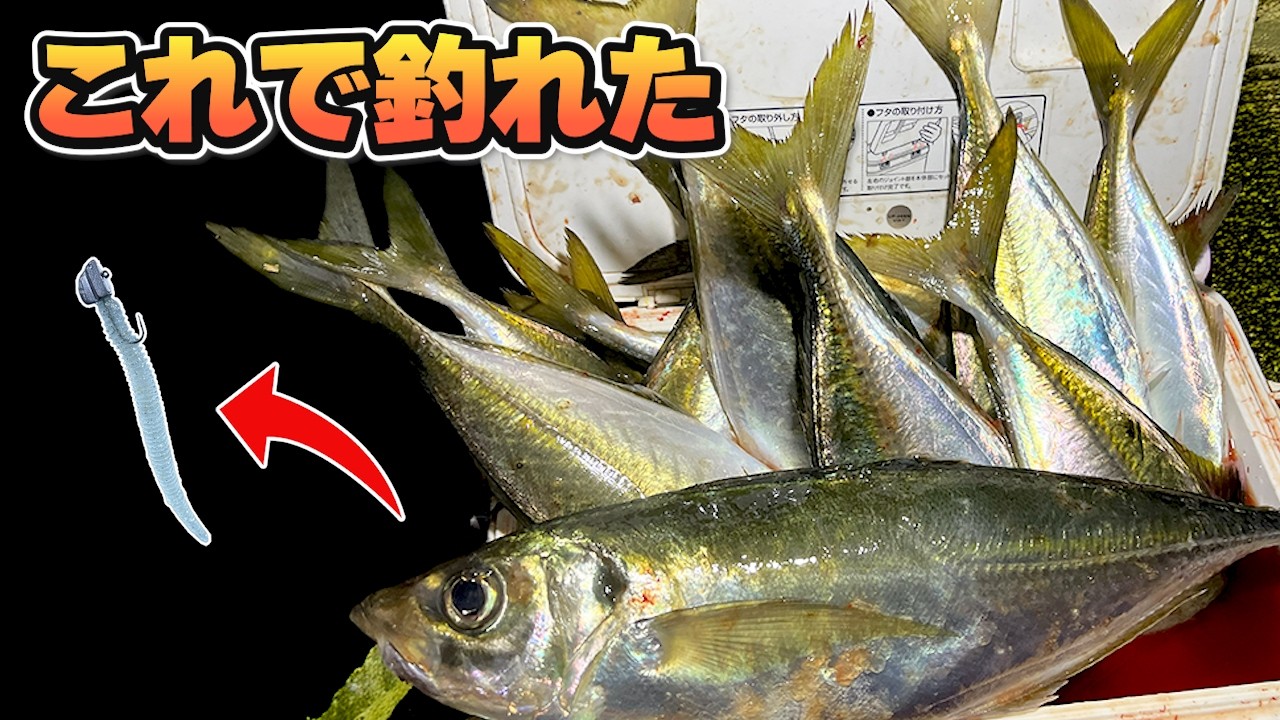 アジングに行ったら...まさかの尺アジが入れ食いに！この組み合わせが最強でした&hellip;