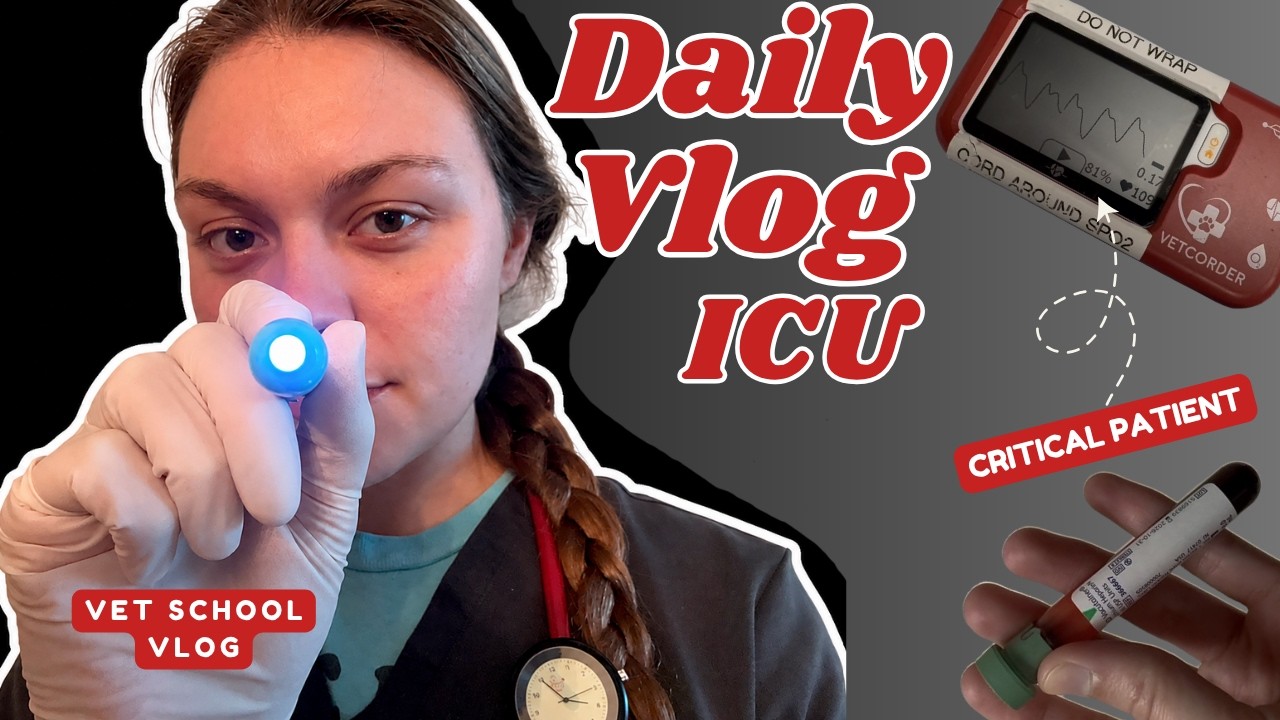 A Day in Veterinary ICU | Vet School Vlog