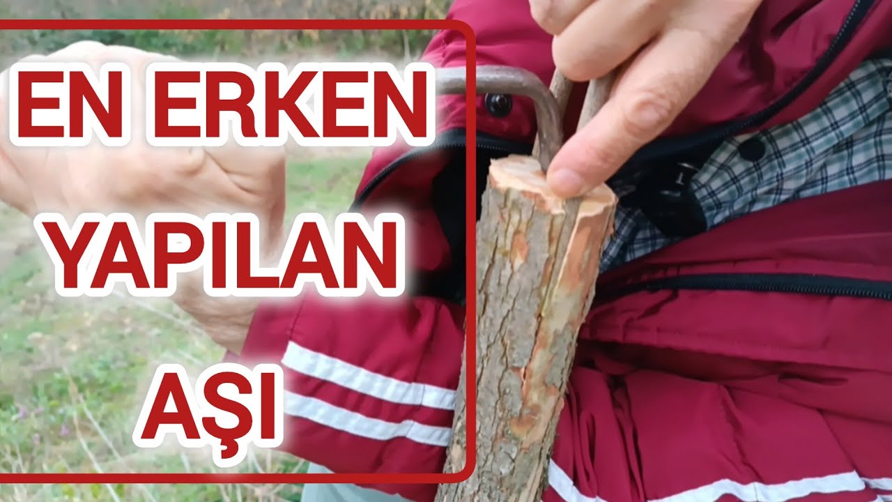 EN ERKEN YAPILAN AŞI .BUNDAN ERKENİ YOK