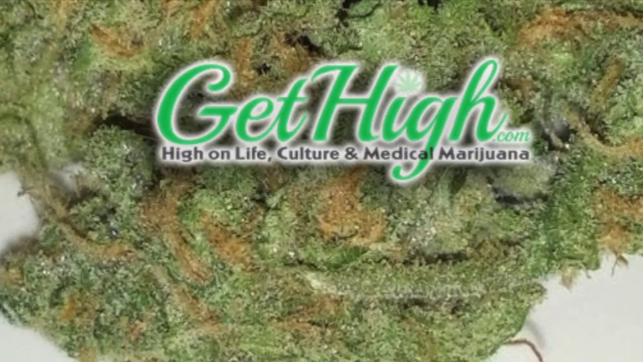 How to Roll a Perfect Blunt with a Cigarillo Every Time!