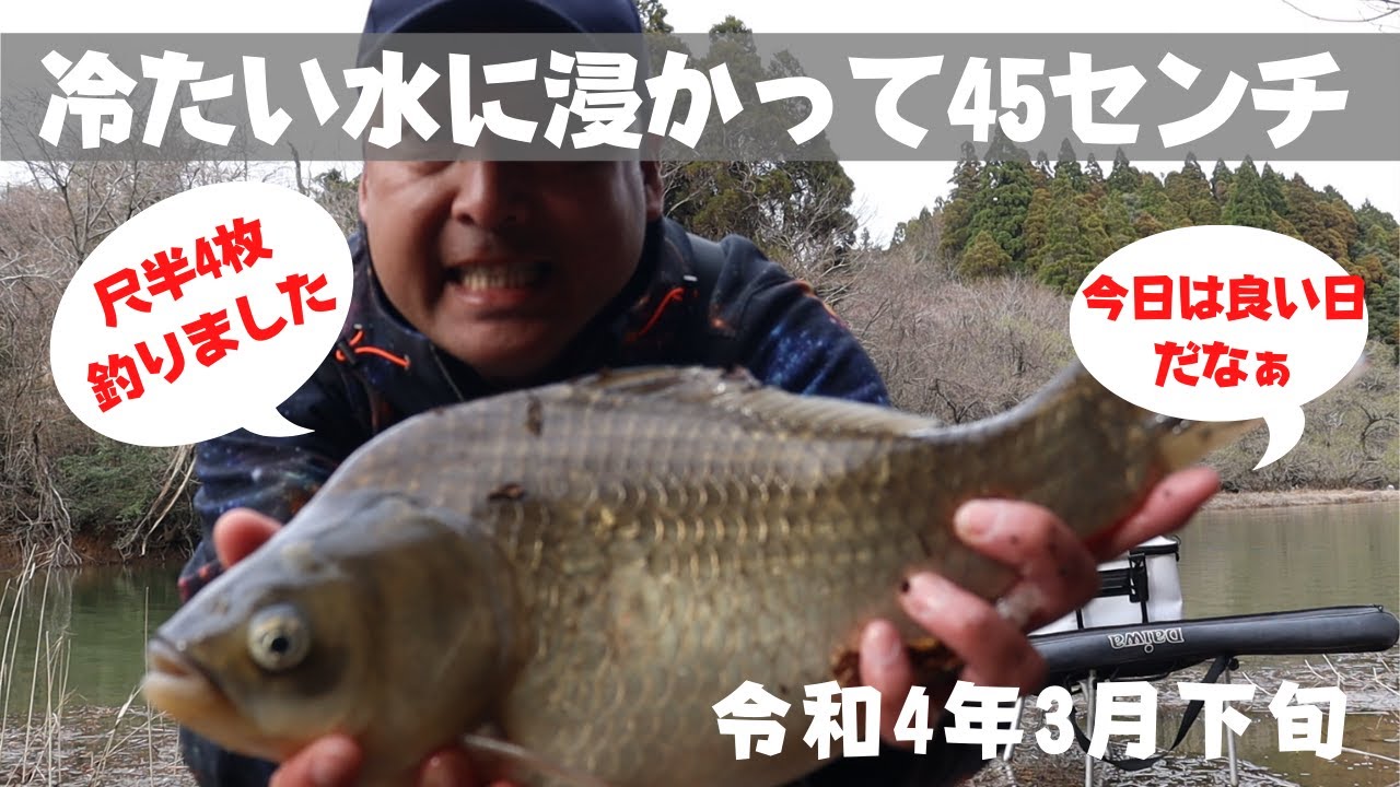 【北山ダム天神ワンド】　沖のかけ上がりポイントに立ち込んで45センチの巨べらゲットしました　【令和4年3月下旬】