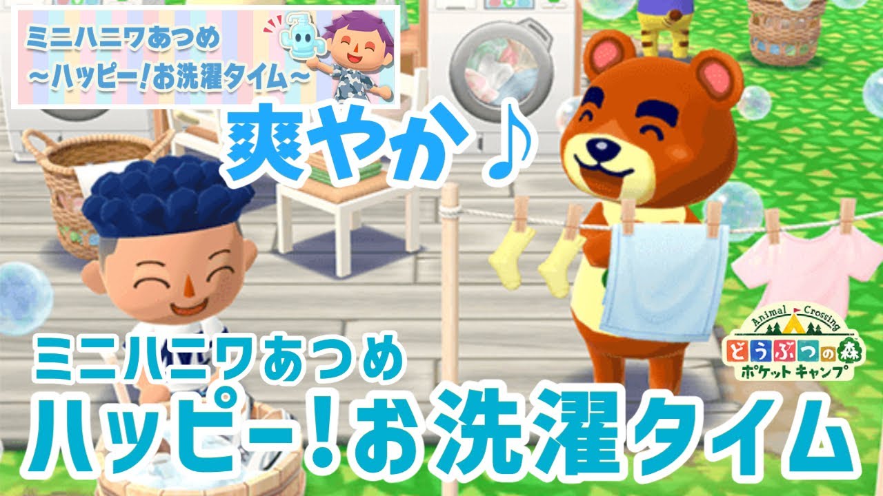 【ポケ森】注意点あり！ミニチャレンジ＆ミニハニワあつめ〜ハッピー！お洗濯タイム〜スタート♪【どうぶつの森ポケットキャンプ】 無課金