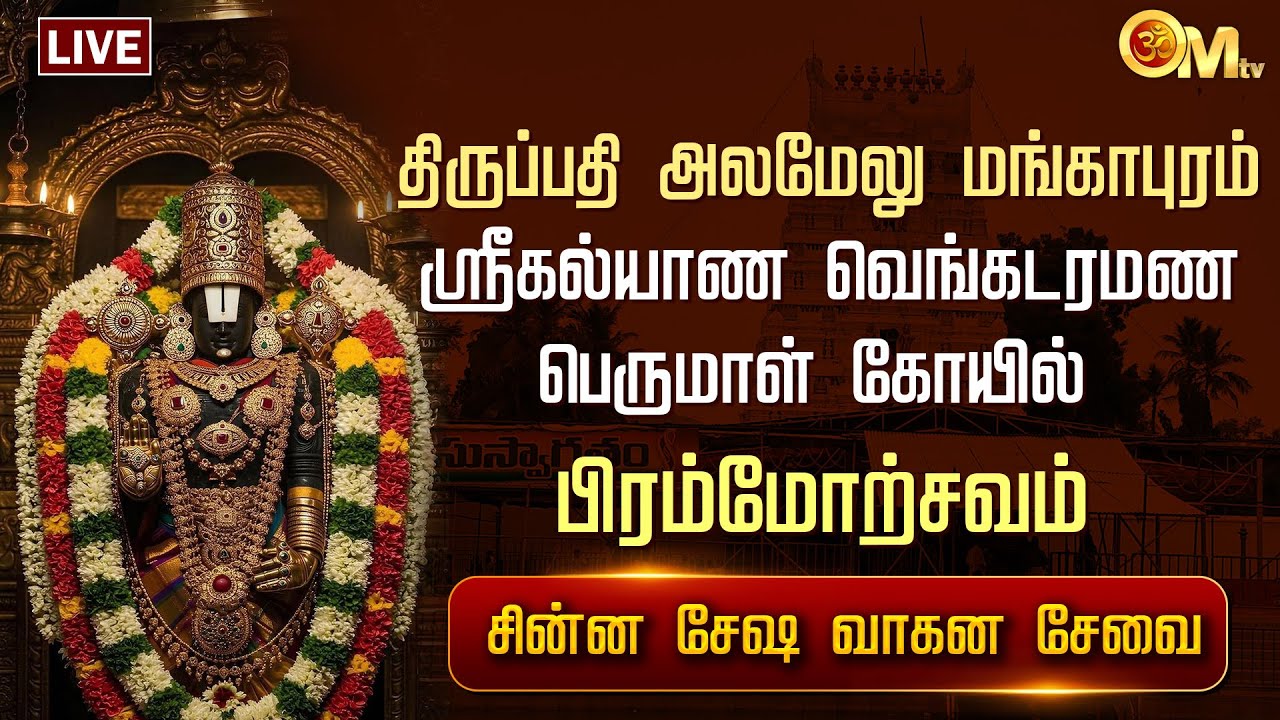 🔴LIVE: திருப்பதி அலமேலு மங்காபுரம் ஸ்ரீகல்யாண வெங்கடரமண பெருமாள் கோயில் - சின்ன சேஷ வாகன சேவை | OMTV